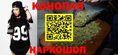 ешки Гай