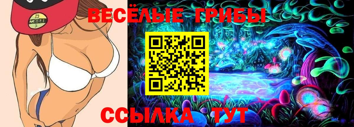 Псилоцибиновые грибы ЛСД Сергиев Посад